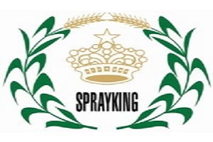 Read more about the article FII invested in Sprayking Agro Equipment Ltd