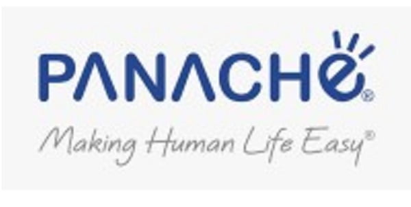 Read more about the article Panache DigiLife: A Micro-Cap IT Star Under the PLI Scheme 2.0